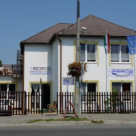 Guest house Balaton Panzio 3*