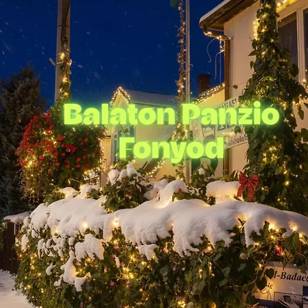 Guest house Balaton Panzio 3*